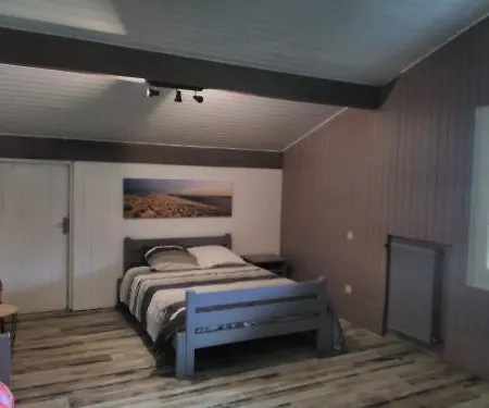 La Pavotte 4* 11 Personnes.piscine Chauffee.jaccuzy Option. Villa Mimizan
